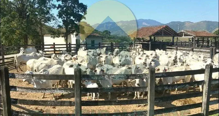 Fazenda para venda em rio bonito, braçanã, 6 dormitórios, 6 suítes, 3 banheiros, 2 vagas