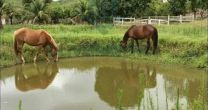 Sítio para venda em tanguá, lagoa verde, 2 dormitórios, 3 banheiros, 1 vaga