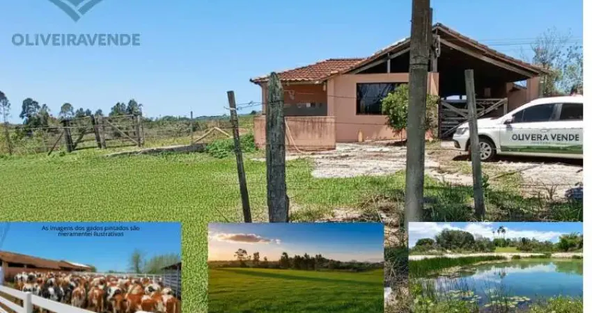 Fazenda para venda em araruama, são vicente de paula, 2 dormitórios, 2 banheiros, 2 vagas