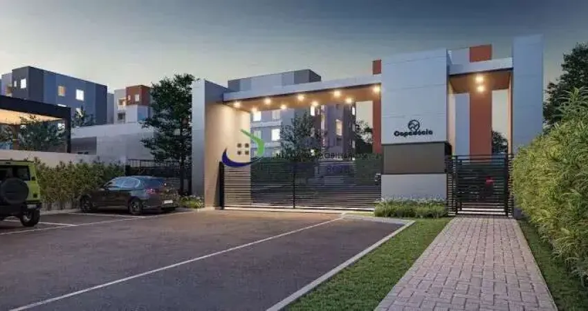 Apartamento com 2 quartos para alugar no Jardim Dom Bosco, Ibiporã