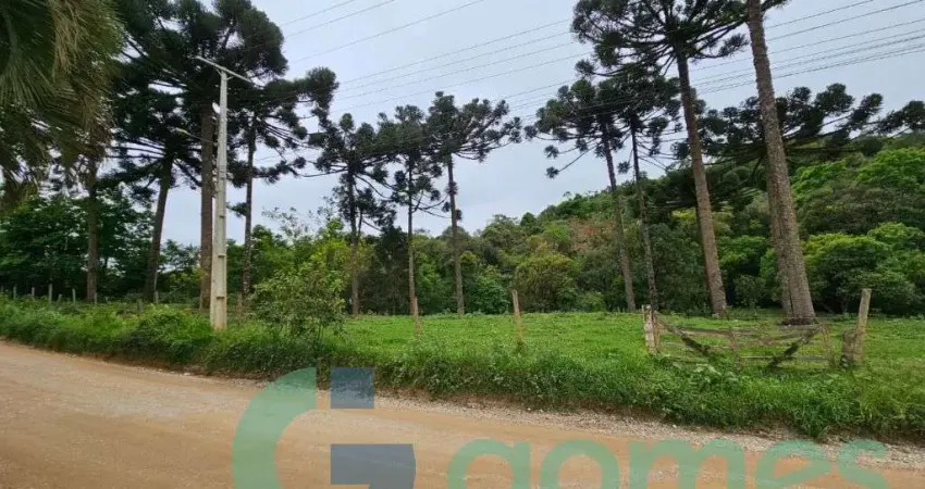 Terreno à venda, 9767 m² por r$ 500.000,00 - colônia antônio prado - almirante tamandaré/pr