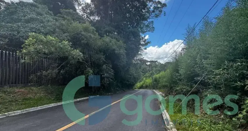 Terreno comercial à venda na Rua Benedito Carollo, 1415, Cidade Industrial, Curitiba