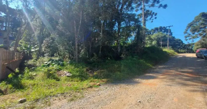 Terreno à venda na Rua Lapa, Estados, Fazenda Rio Grande