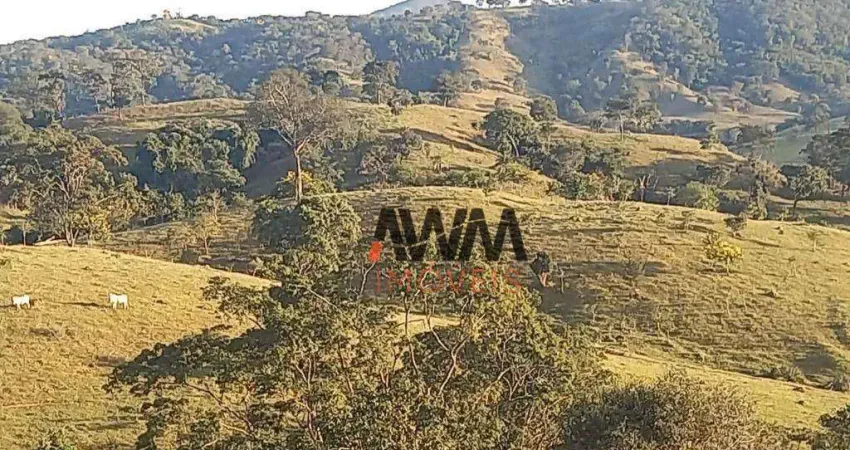 Fazenda à venda, 1694000 m² por R$ 5.250.000,00 - Centro - Carmo do Rio Verde/GO