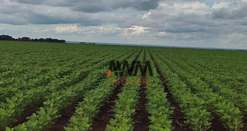 Fazenda à venda, 24829200 m² por R$ 61.560.000,00 - Zona Rural - Pedro Afonso/TO