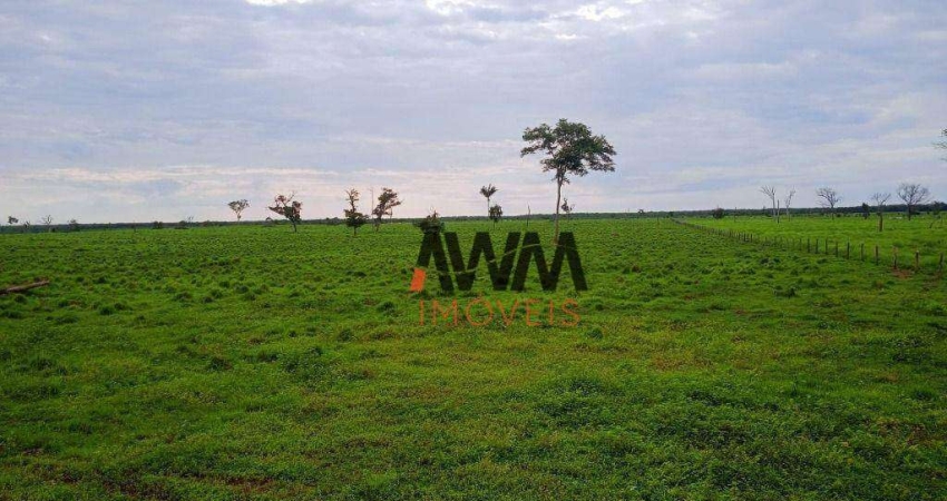 Fazenda à venda, 50820000 m² por R$ 157.500.000,00 - Centro - Caseara/TO