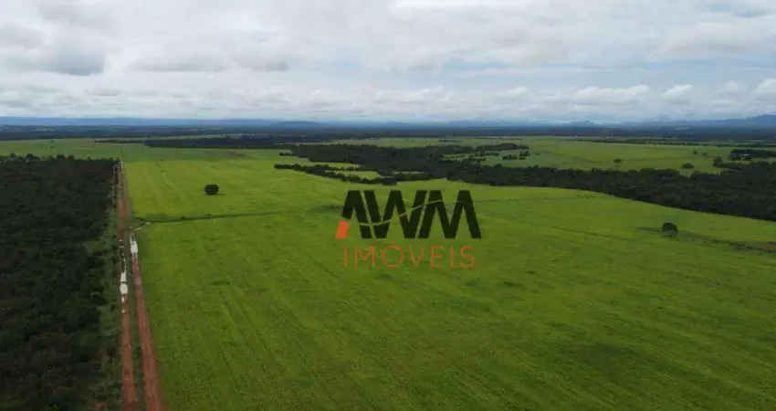 Fazenda à venda, 48400 Hectares por R$ 120.000.000 - Centro - Formosa/GO