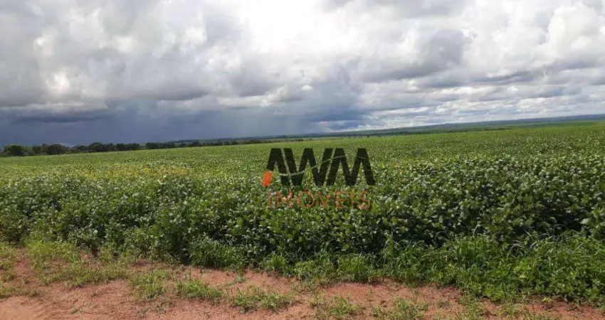 Fazenda à venda, 47730000 m² por R$ 300.000.000,00 - Centro - Nova Xavantina/MT