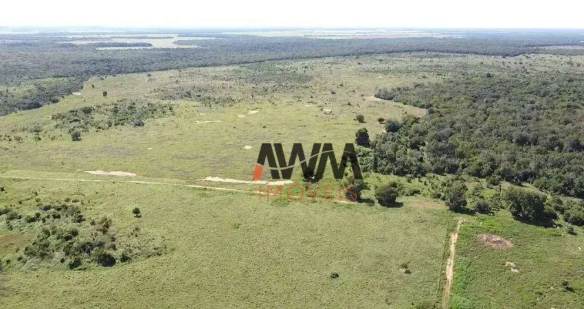 Fazenda à venda, 7598800 m² por R$ 25.000.000,00 - Centro - Confresa/MT