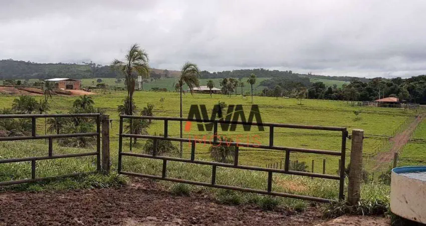 Fazenda à venda, 726000 m² por R$ 7.500.000,00 - Setor Leste - Anicuns/GO