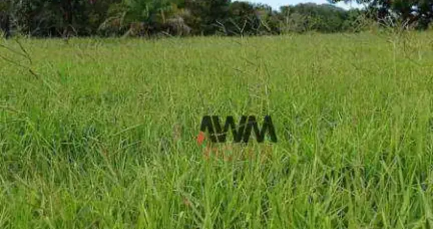 Fazenda à venda, 2444000 m² por R$ 13.000.000,00 - Zona Rural - Novo Brasil/GO
