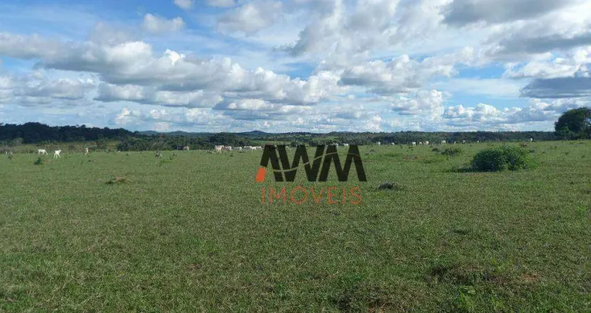 Fazenda à venda, 1548800 m² por R$ 6.400.000,00 - Zona Rural - Itapuranga/GO