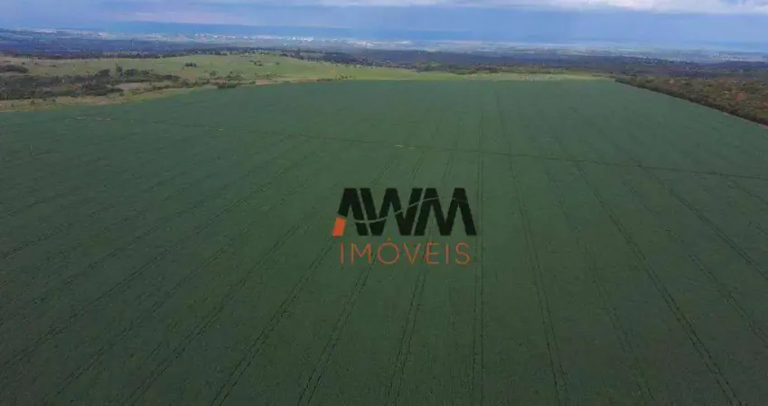 Fazenda à venda, 2200000 m² por R$ 14.000.000,00 - Zona Rural - Jaciara/MT