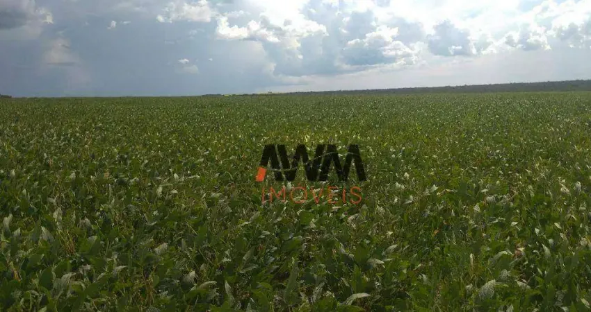 Fazenda à venda, 48450000 m² por R$ 122.000.000,00 - Fazenda - Paranatinga/MT