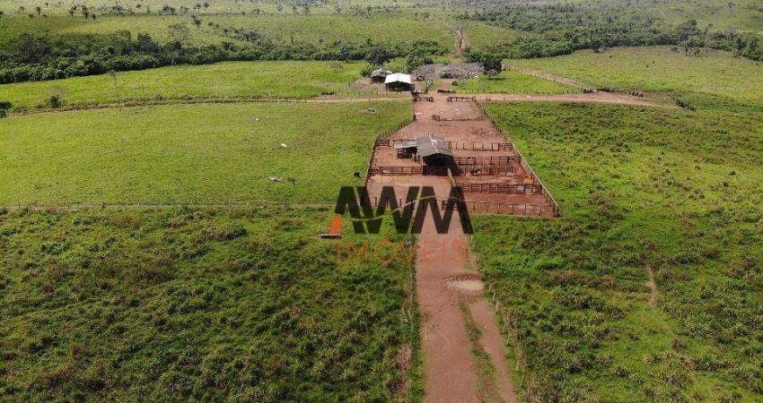 Fazenda à venda, 121000000 m² por R$ 325.000.000,00 - Centro - Cumaru do Norte/PA