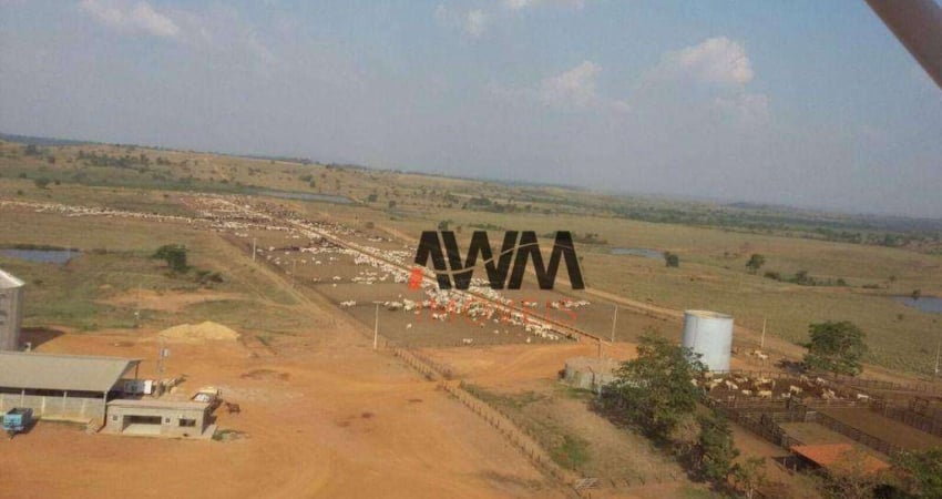 Fazenda à venda, 118096000 m² por R$ 400.000.000,00 - Santos Dumont - Redenção/PA