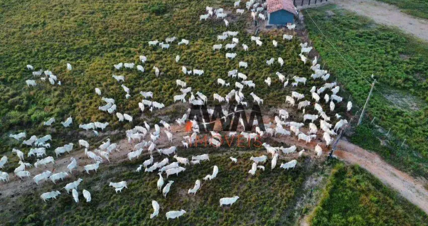 Fazenda à venda, 105028000 m² por R$ 330.000.000,00 - Velha Marabá - Marabá/PA