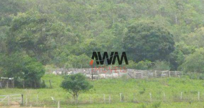 Fazenda à venda, 6969600 m² por R$ 5.800.000,00 - Centro - Minaçu/GO