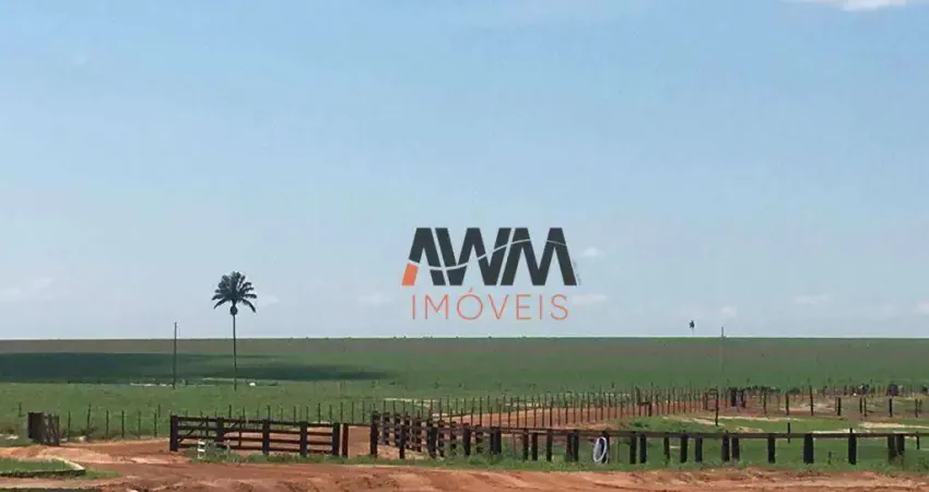 Fazenda à venda, 24200000 m² por R$ 120.000.000,00 - Zona Rural - Canarana/MT