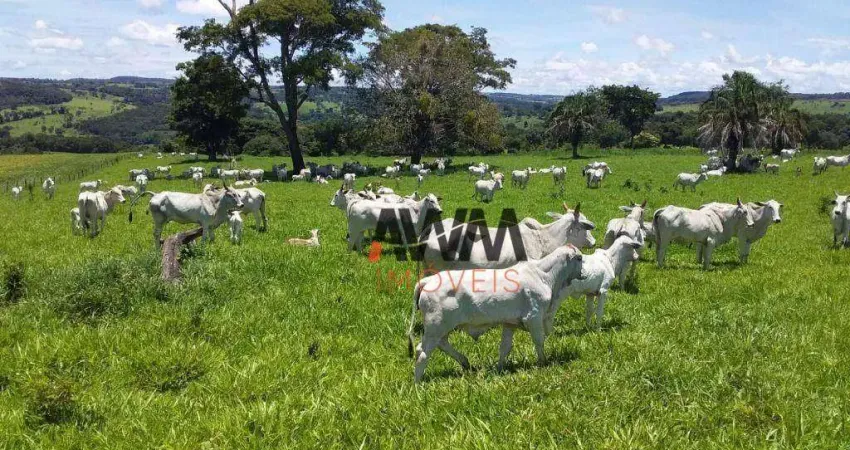 Fazenda à venda, 5008300 m² por R$ 55.000.000,00 - Centro - Leopoldo de Bulhões/GO