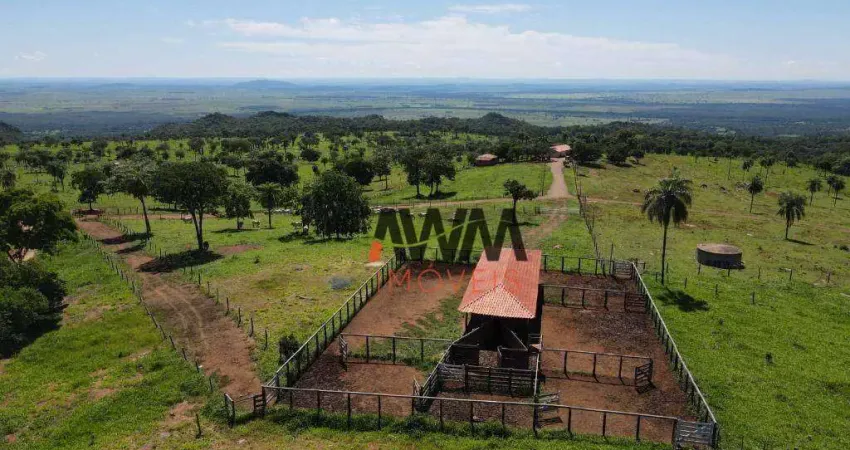 Fazenda à venda, 8228000 m² por R$ 10.000.000,00 - Centro - Nova Roma/GO