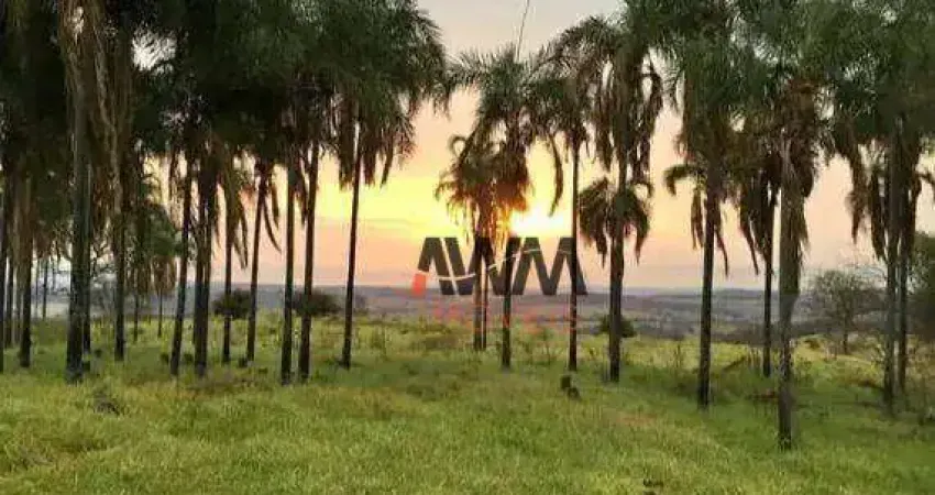 Fazenda à venda, 803924 m² por R$ 7.500.000,00 - Zona Rural - Trindade/GO