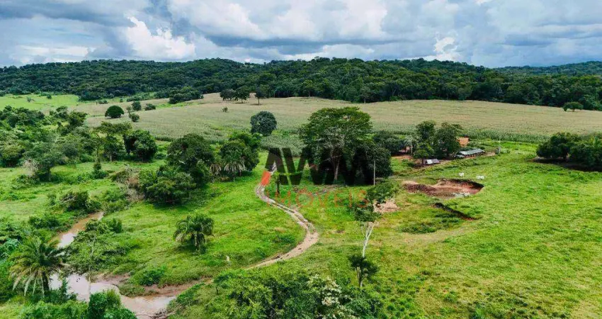 Fazenda à venda, 968000 m² por R$ 7.000.000 - Zona Rural - Pontalina/GO