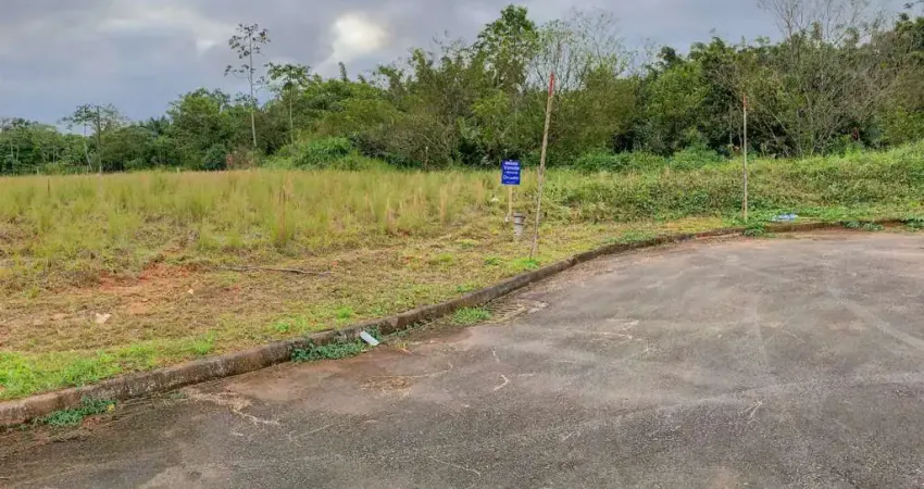 Terreno à venda no Nereu Ramos, Jaraguá do Sul 