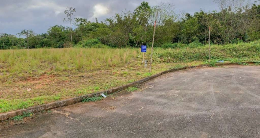 Terreno à venda no Nereu Ramos, Jaraguá do Sul 