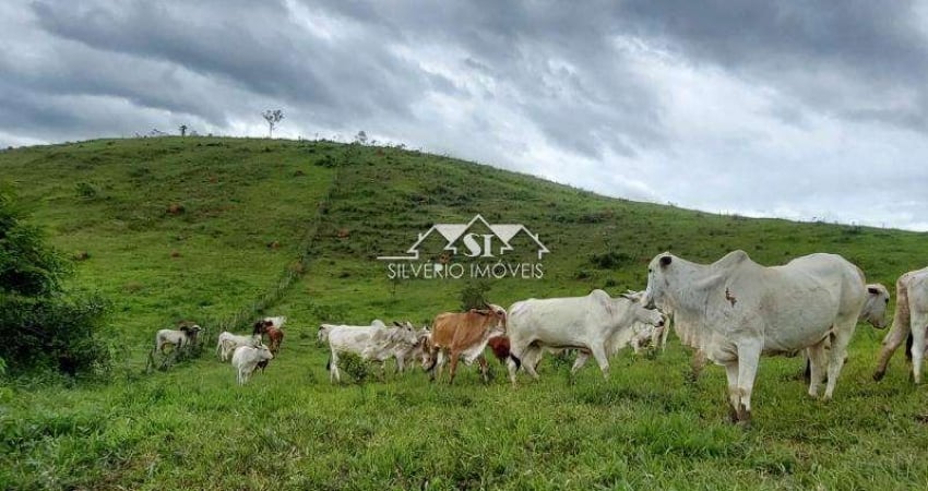 Fazenda- Paraíba do Sul, Centro
