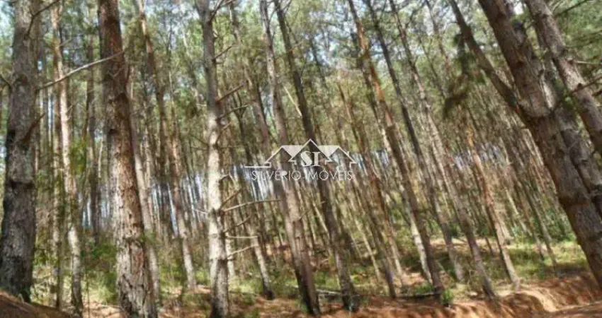 Terreno à venda no Araras, Petrópolis 