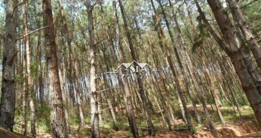 Terreno à venda no Araras, Petrópolis 