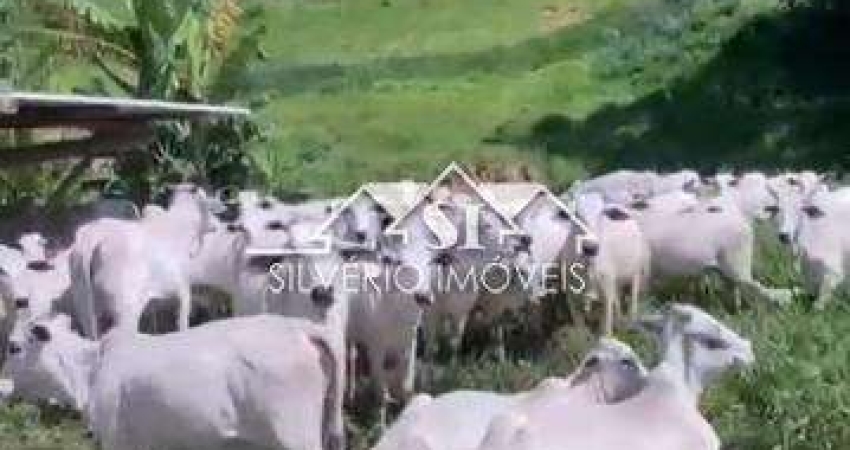 Fazenda- Petrópolis, Posse