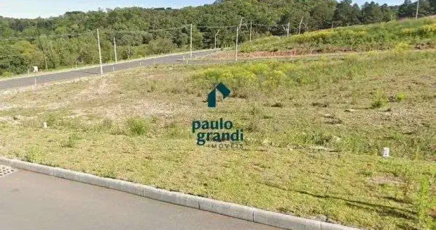 Terreno à venda na Rua Vereador Pedro Rech, lote 21, São Giácomo, Caxias do Sul