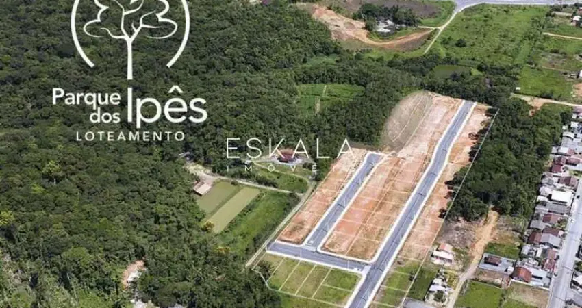 Lotes no loteamento do parque dos ipês | schroeder 1 - schroeder