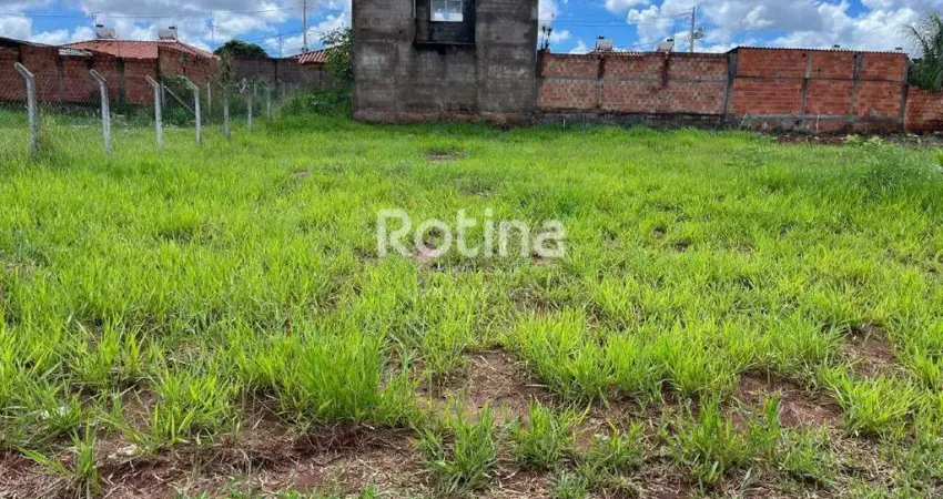 Terreno para alugar, shopping park - uberlândia/mg - rotina imobiliária