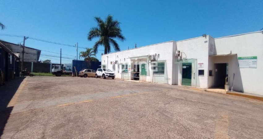 Galpão para alugar, Distrito Industrial - Uberlândia/MG - Rotina Imobiliária