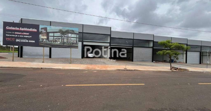 Loja para alugar, Jardim Botânico - Uberlândia/MG - Rotina Imobiliária