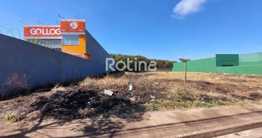 Terreno para alugar, aclimação - uberlândia/mg - rotina imobiliária