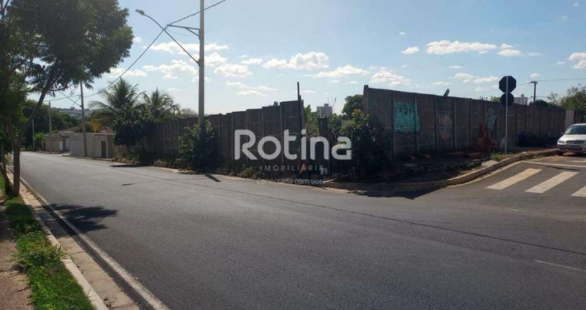 Terreno para alugar, Aclimação - Uberlândia/MG - Rotina Imobiliária