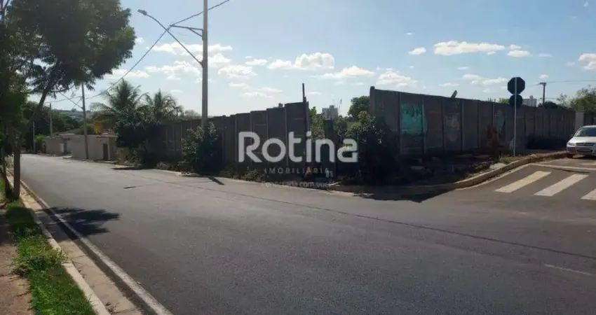 Terreno para alugar, aclimação - uberlândia/mg - rotina imobiliária