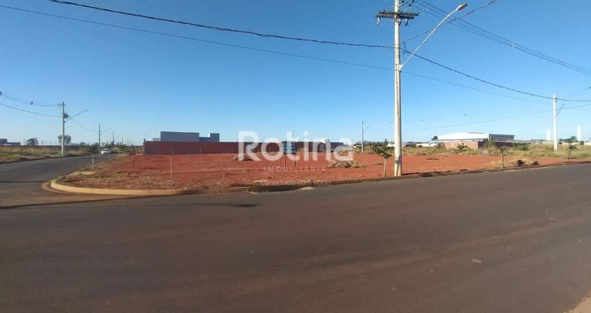 Área para alugar, Novo Mundo - Uberlândia/MG - Rotina Imobiliária