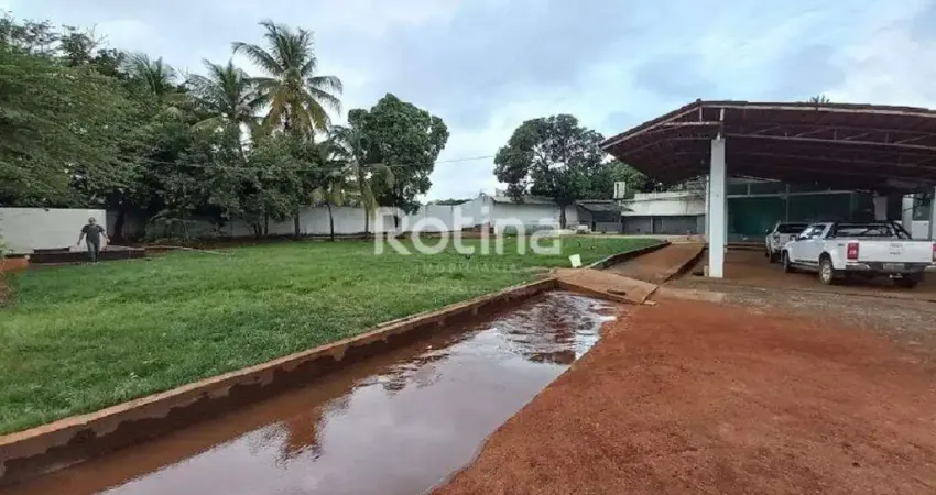 Galpão para alugar, osvaldo rezende - uberlândia/mg - rotina imobiliária