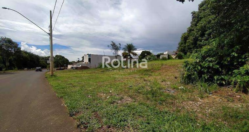 Área para alugar, Daniel Fonseca - Uberlândia/MG - Rotina Imobiliária