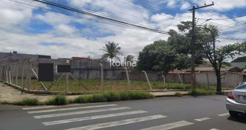 Área para alugar, umuarama - uberlândia/mg - rotina imobiliária