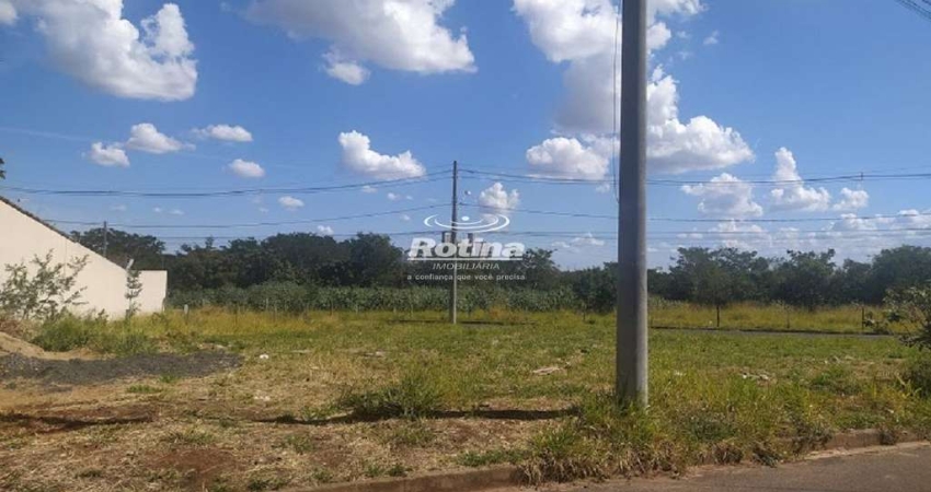 Terreno para alugar, Jardim Botânico - Uberlândia/MG - Rotina Imobiliária