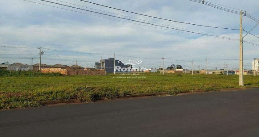 Área para alugar, Residencial Lago Azul - Uberlândia/MG - Rotina Imobiliária