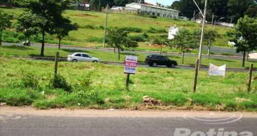 Terreno para alugar, segismundo pereira - uberlândia/mg - rotina imobiliária