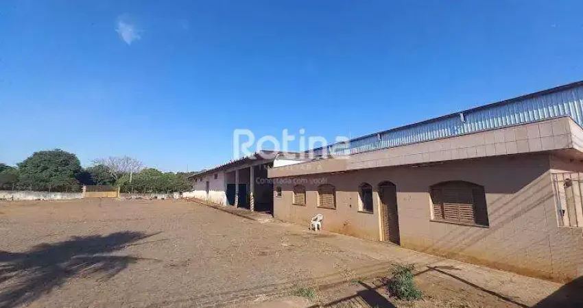 Galpão para alugar, daniel fonseca - uberlândia/mg - rotina imobiliária