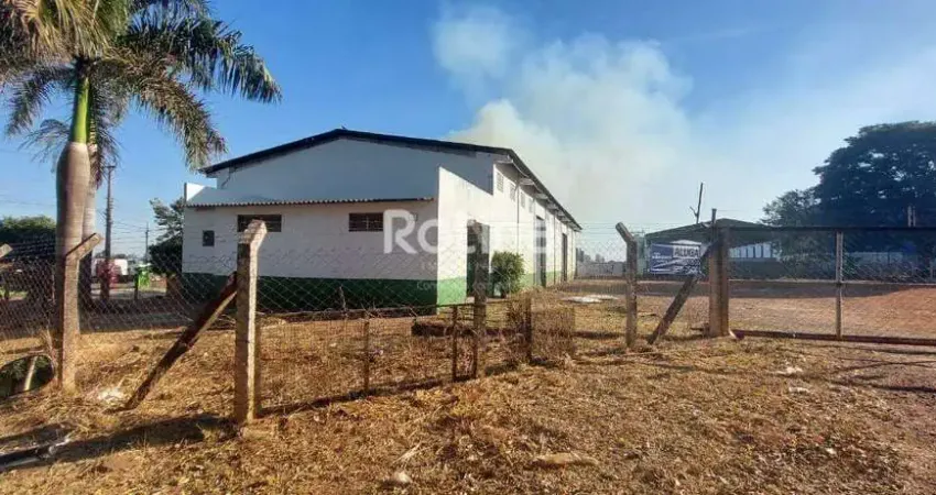 Galpão para alugar, distrito industrial - uberlândia/mg - rotina imobiliária